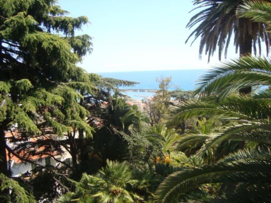 Mini Accommodation In Sanremo Liguria Esterno foto
